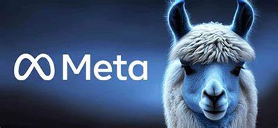 meta-llama-itusers