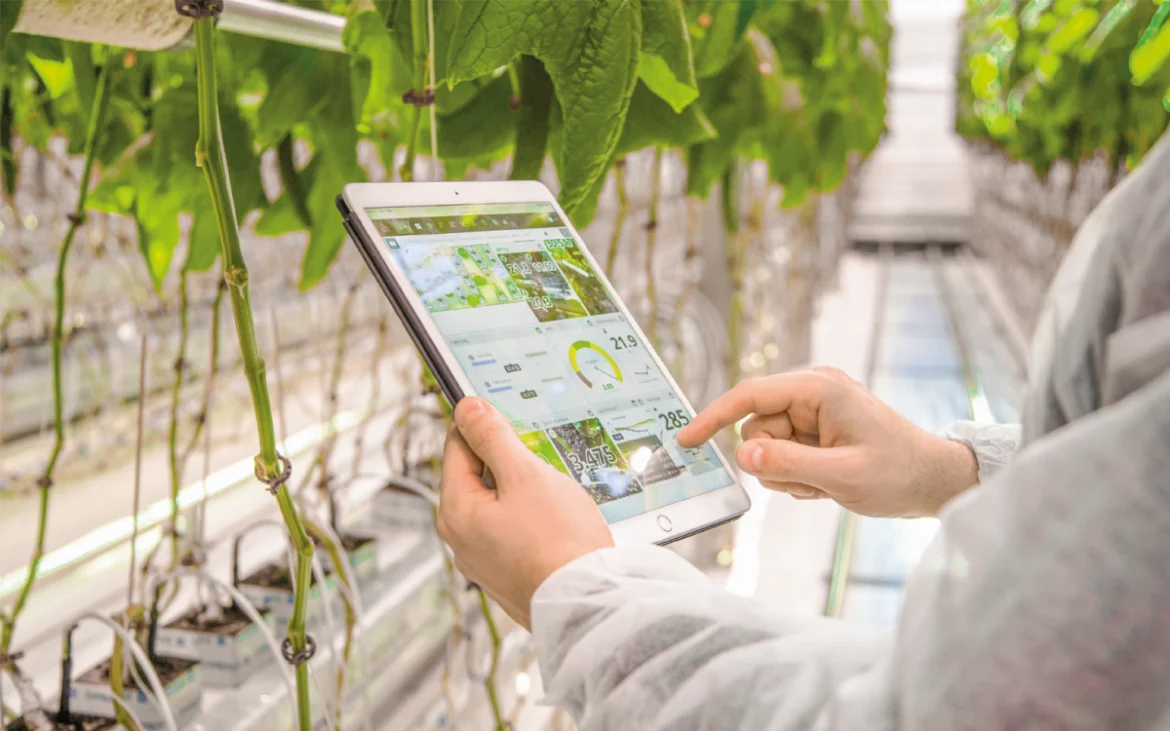 hunter-agro-apuesta-iot-de-hunter-peru-para-transformar-cultivos-en-latinoamerica