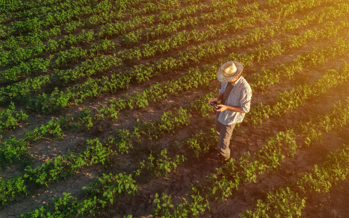 Agricultor usando tecnología en campo para agronegocio inteligente con SAP
